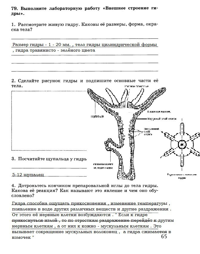 Украли аккаунт кракен