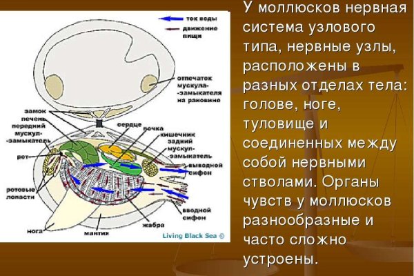 Сайт тор кракен